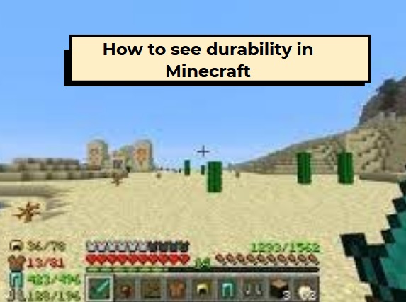 How to see durability in Minecraft